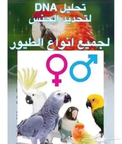 تحليل DNA لمعرفة جنس الطيور 0