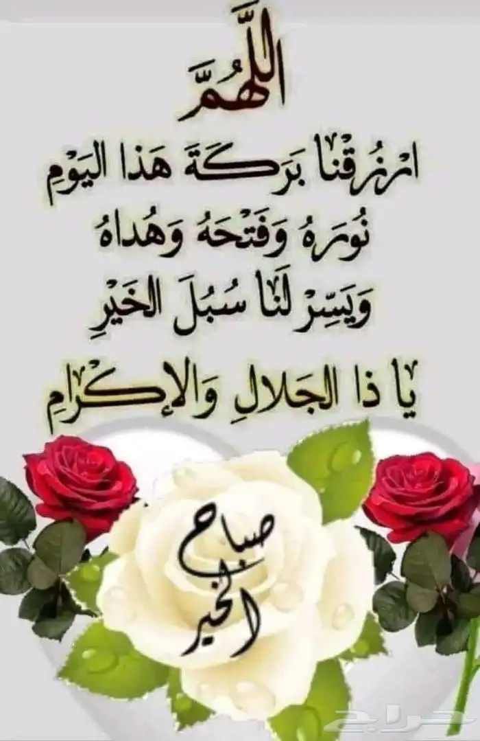 عندي القدرة ع ادارة الاعمال 0