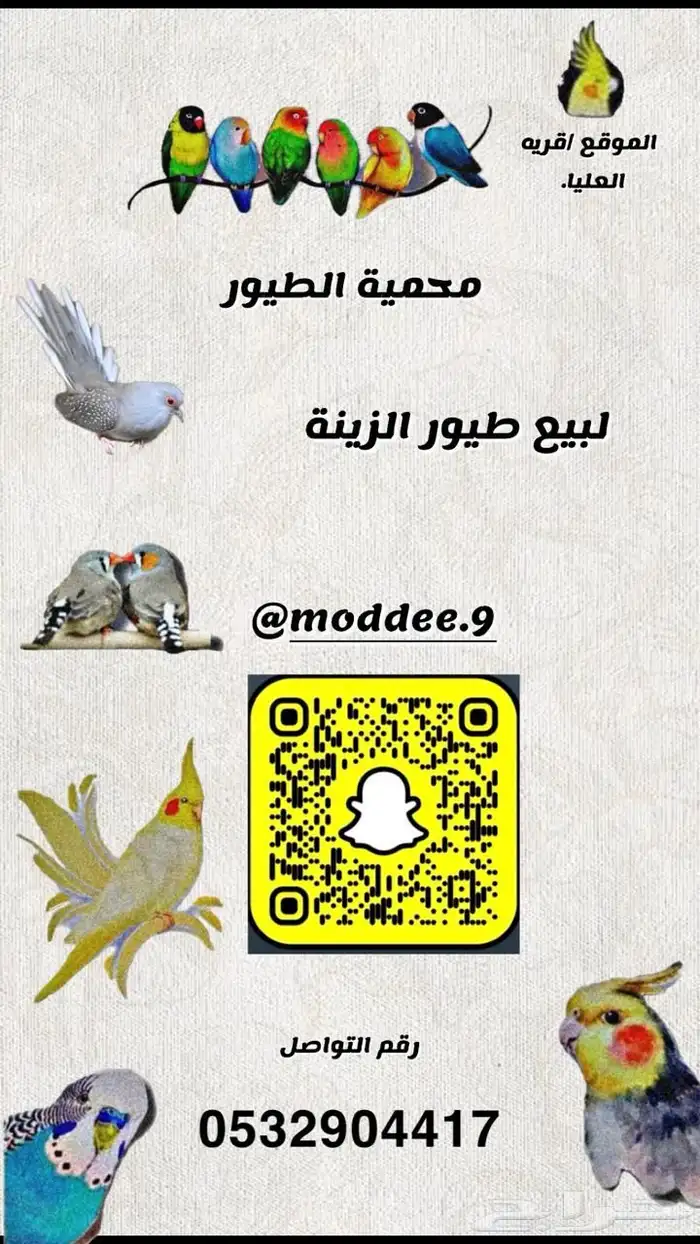 زوج بادجي للبيع 4