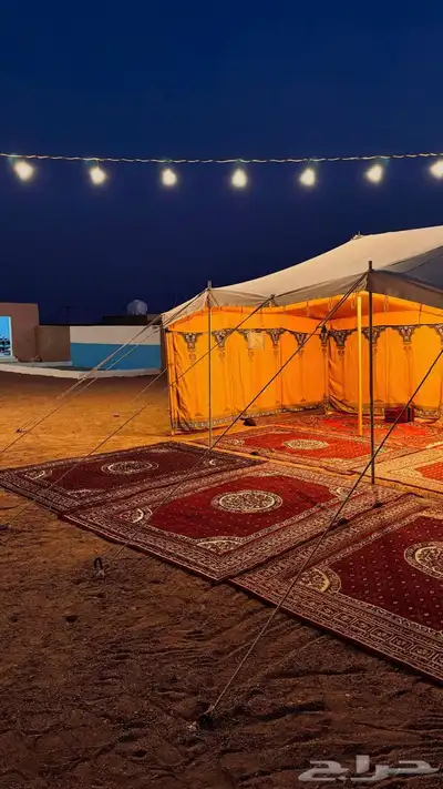مخيمات داخل المدينه المنوره 27