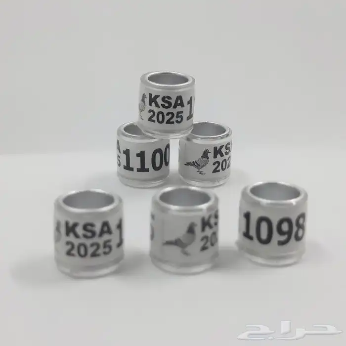 حجول حمام 2025 0