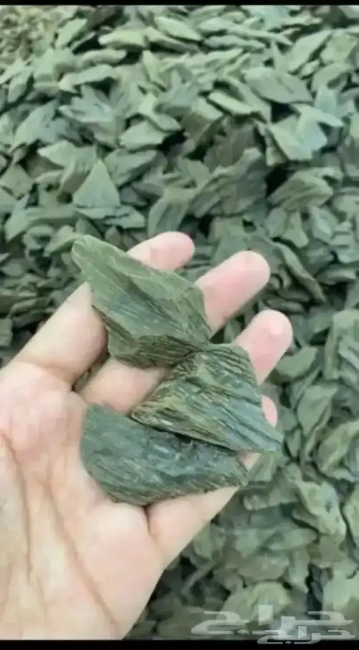 مزاد على نصف كيلو الكلمنتان لمدة ساعه 0