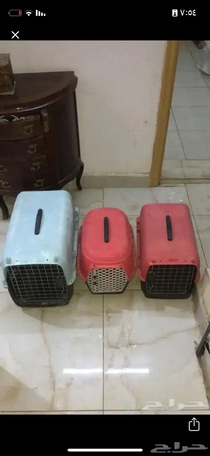 حامل قطط قفص قطط 0