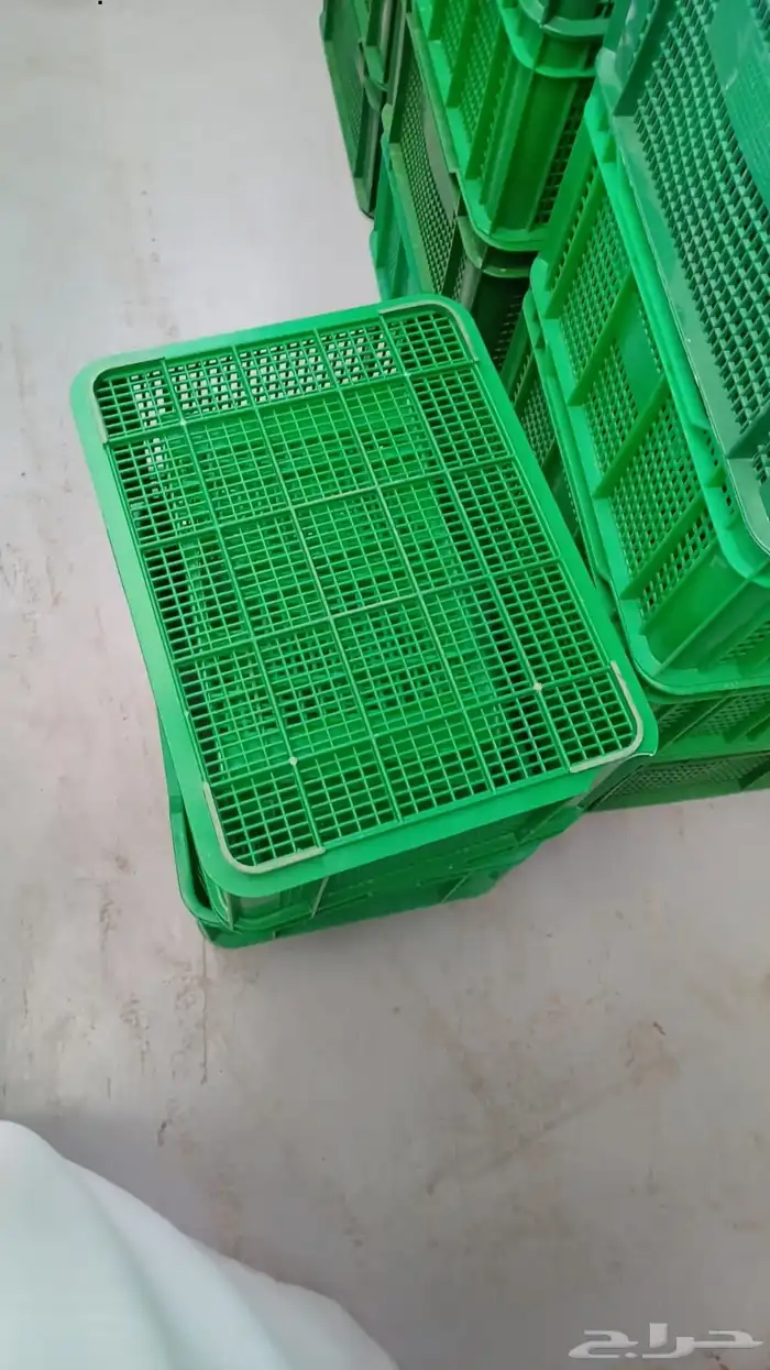 صندوق بلاستيك صناديق تمور صناديق خضار دجاج سمك 2