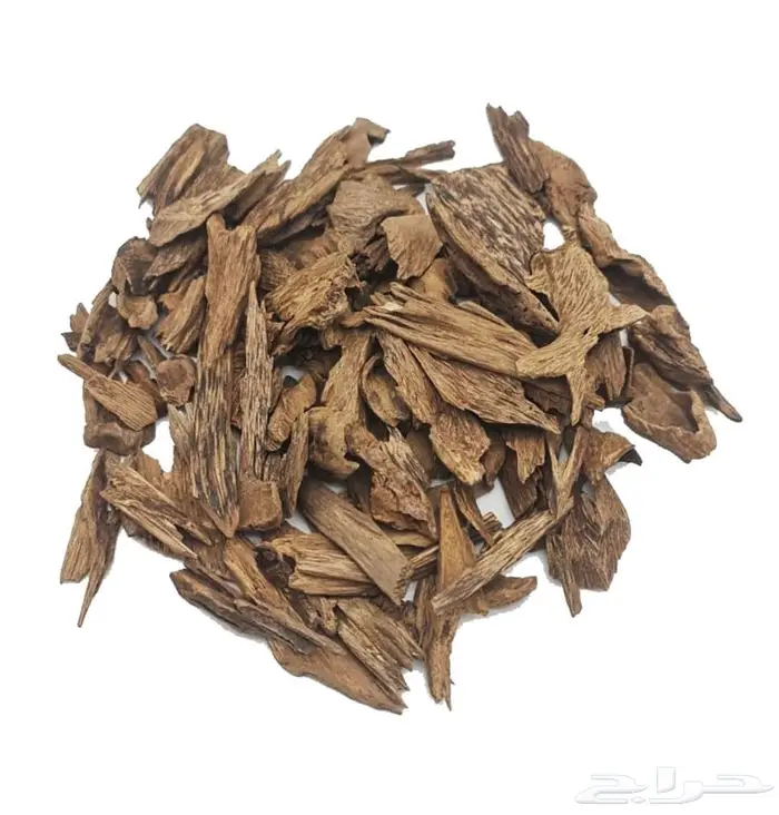 عود منوع 4