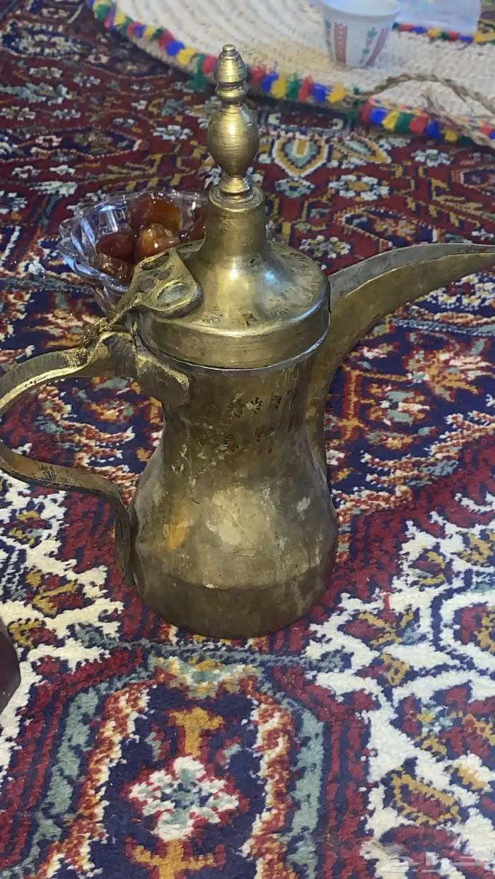 دلال قريشيات العدد 4 4