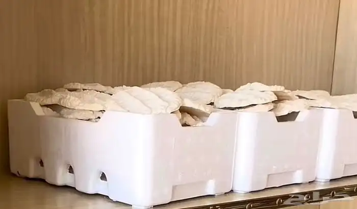 بقل للبيع جديد وشغل نظيف ماعليه اي كلام وسمن غنم 0