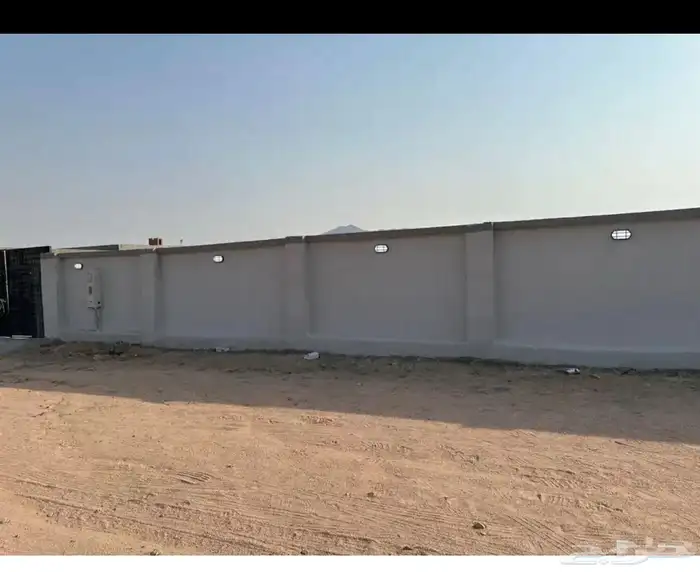 للبيع الجموم 0