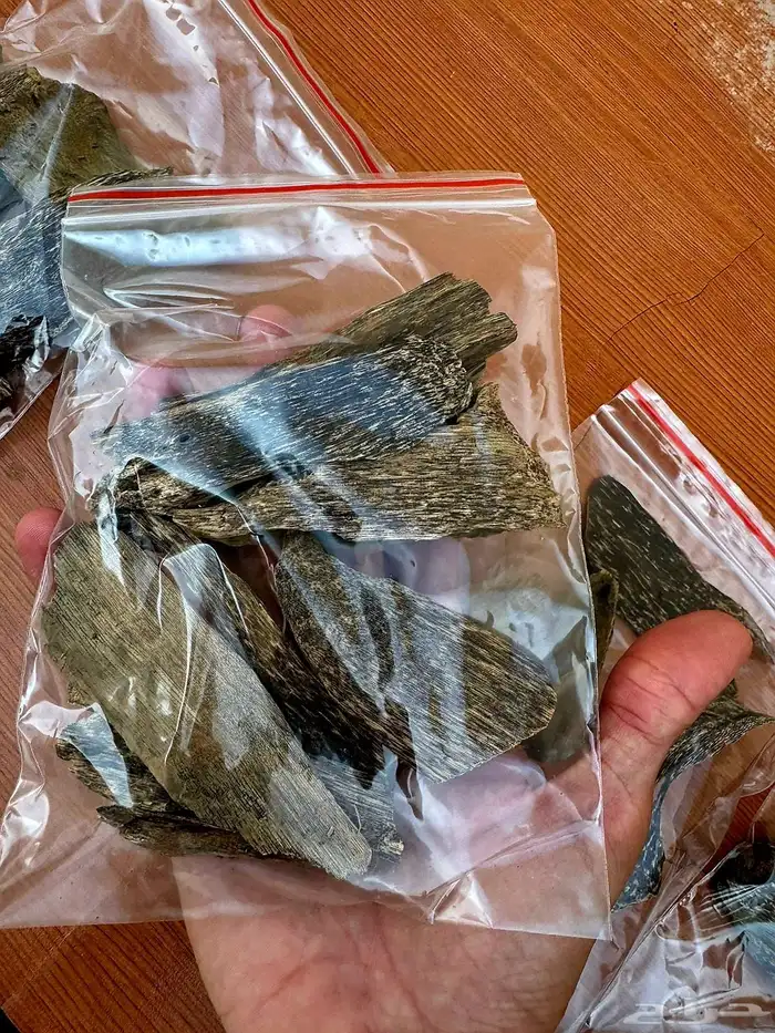 عود سومطري نادر 1