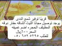 شمع ندي جديد بتاريخ 24نوفمبر2024 1
