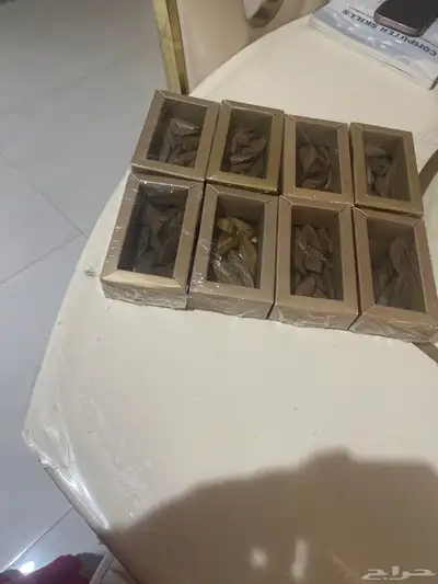 عود موركي الريحه جميله والعود اجمل 6اوقيات ب200عرض 0
