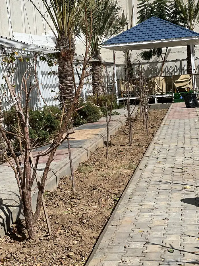 زراعه وحدائق 5