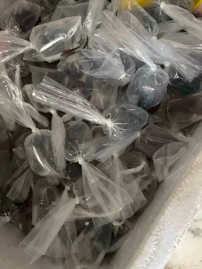 سمك الفايتر جملة الجملة 0