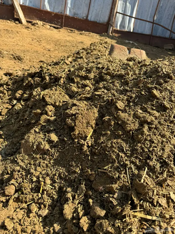 سماد بقر للمزارع نضيف 10