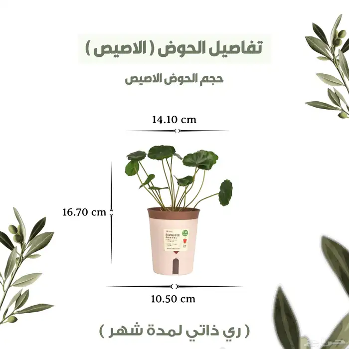 بكج الزراعة  النعناع اربع منتجات 0