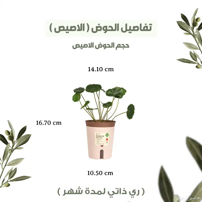 بكج الزراعة  النعناع اربع منتجات 1