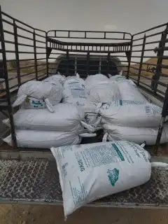 ملح بحري جمله 2