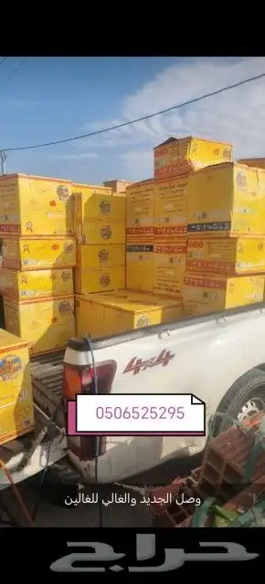 شمع ندي جديد بتاريخ 24نوفمبر2024 0