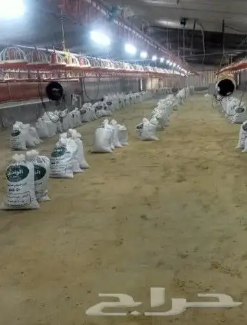 يوجد سماد دجاج لاحم لجميع انواع الزراعه والأشجار 1