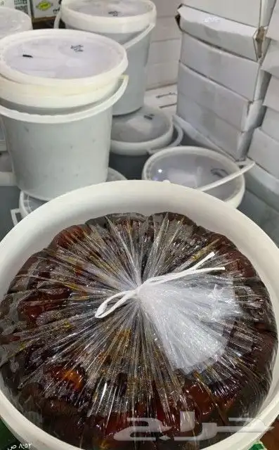 تمور حائل الفاخره 9