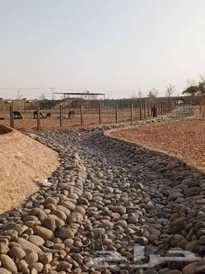 عمل حجر 1