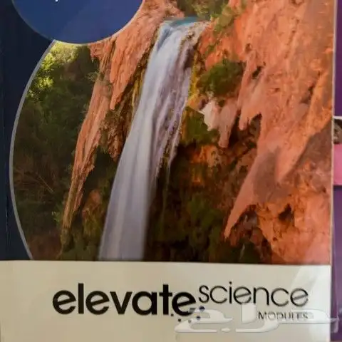 معلمة رياضيات 0