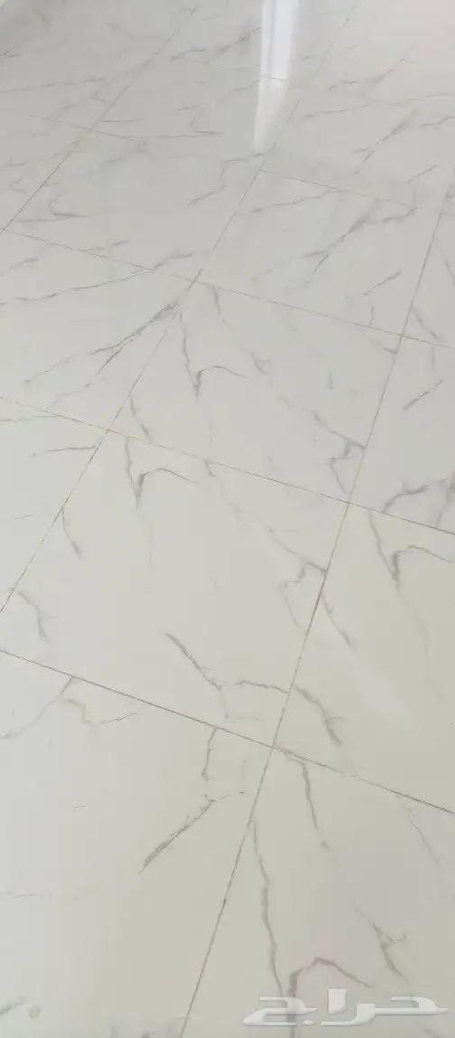 مبلط بلاط  شان  عبدالمج د 0