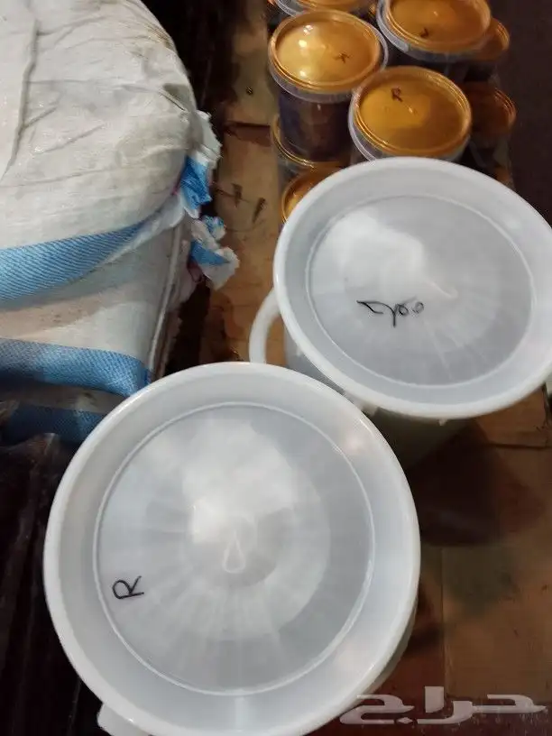 تمور حائل الفاخره 1