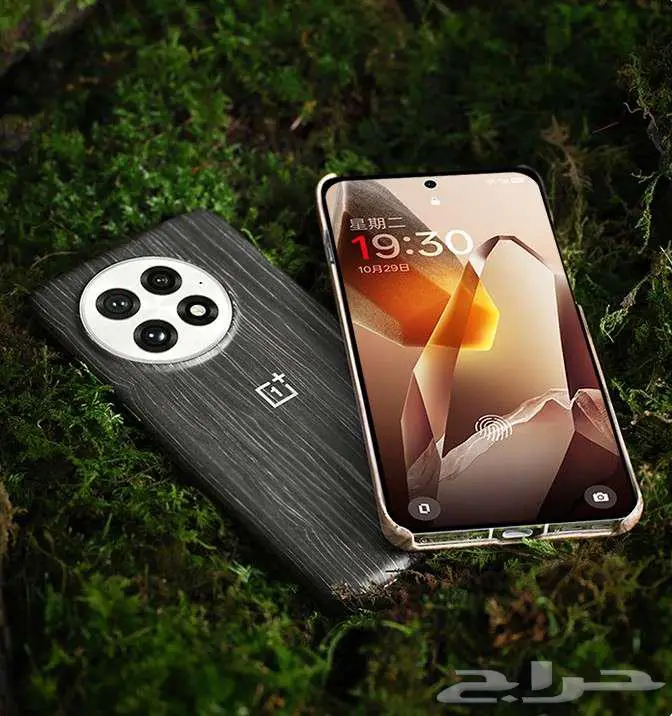 غطاء ون بلس 13 ارميد OnePlus 13 Wood Grain تابي وتمارا 1