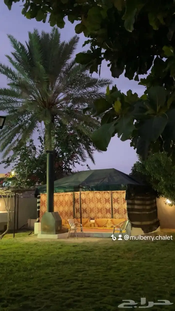 شاليه وحديقة توت Live بمسبح 22