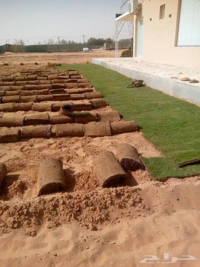 زراعه ثيل طبيعي سي الفين 4