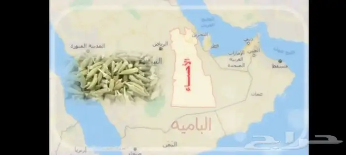 معلمة  معلمة خصوصيه  معلمة تأسيس  معلمة مصريه 0