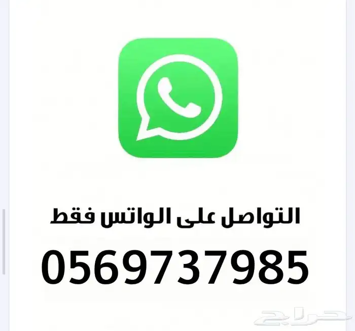 تمثال كبوت نيسان وتويوتا و شفرلية 14