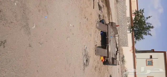 بيشه 0