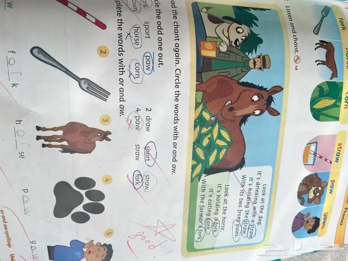 مدرسة انجليزي خصوصي بجدة 17