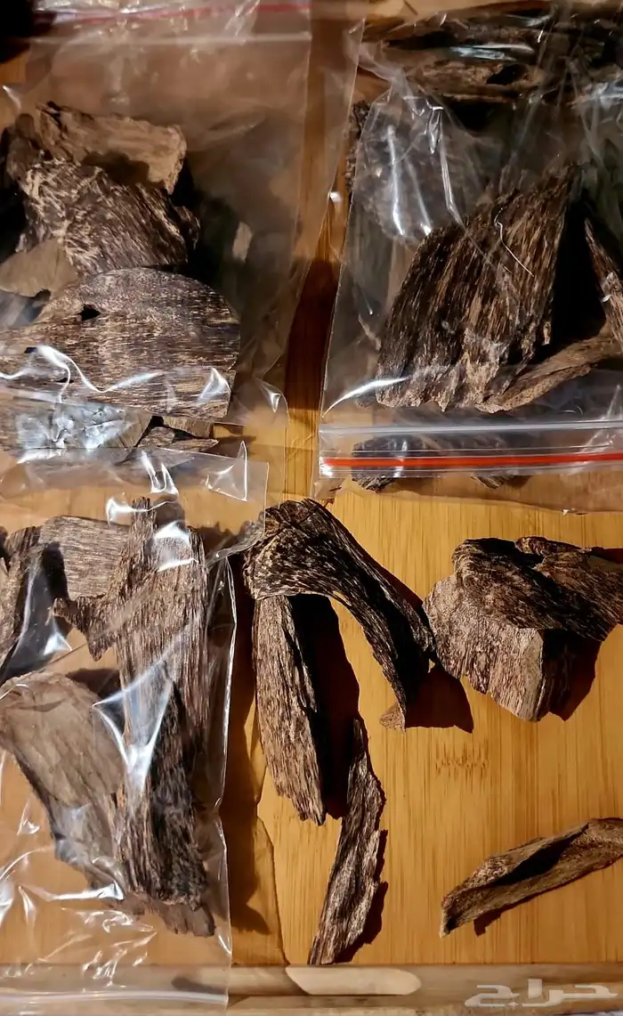 عود سومطري نادر 0