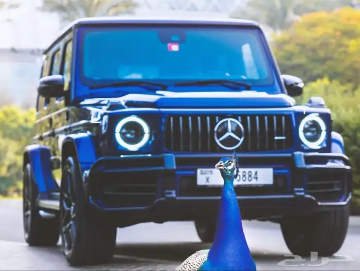 تأجير سيارات في دبي 7