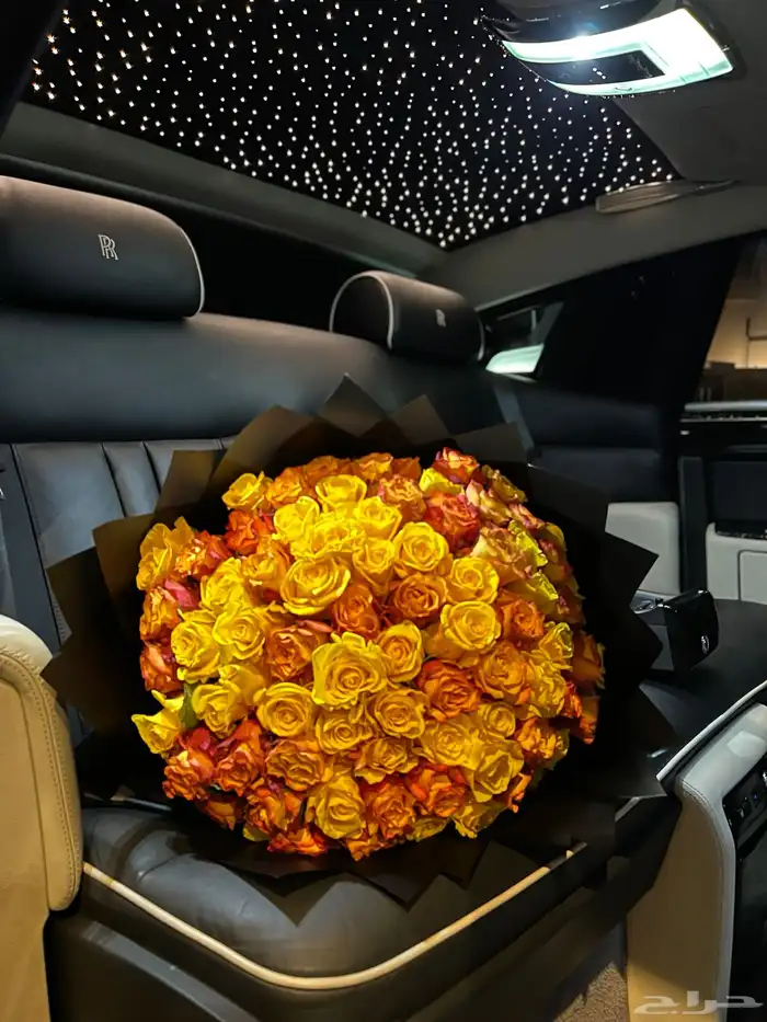 تأجير روز سياره فخمه مع سايق ساعه 350 3