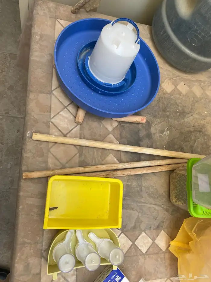 مستلزمات طيور متنوعه 1