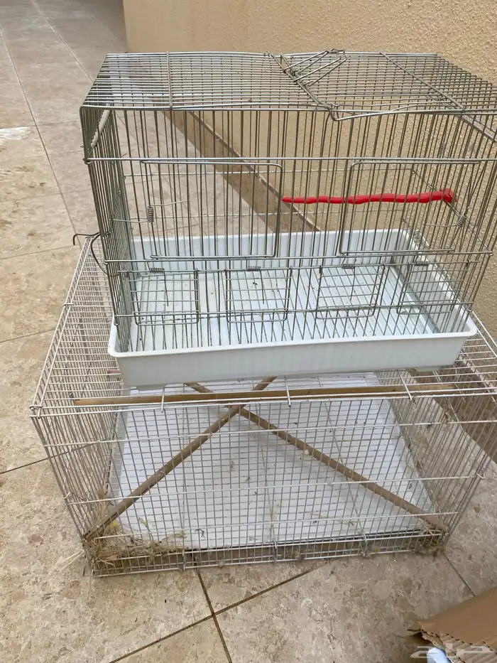 مستلزمات طيور متنوعه 0