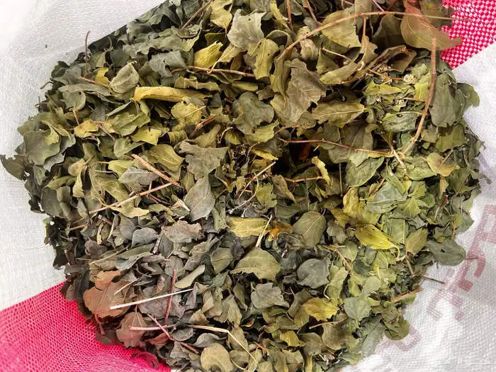 ورق سدر وحنا نظيف 3