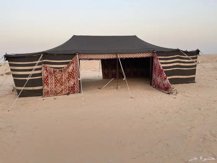 بيت شعر قديم نوعيه ممتازه وقويه جدا 0