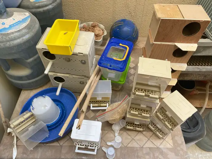 مستلزمات طيور متنوعه 2