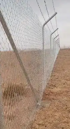 شبك 3