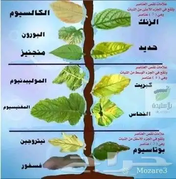 مهندس زراعي 5