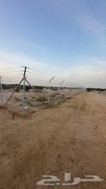 مقاول شبوك جميع انواعها 2