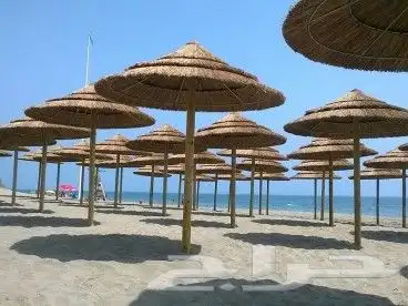 تنسيق وتركيب جلسات خيزران وبامبو وقش للكافيهات والمنازل 5