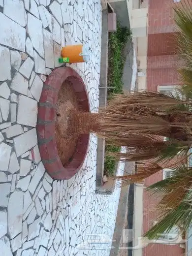 تركيب انترلوك وبلدوره لتواصل ابو مصطفى 4