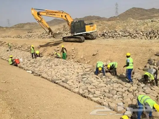 تركيب شبوك وزراعه النخيل 3