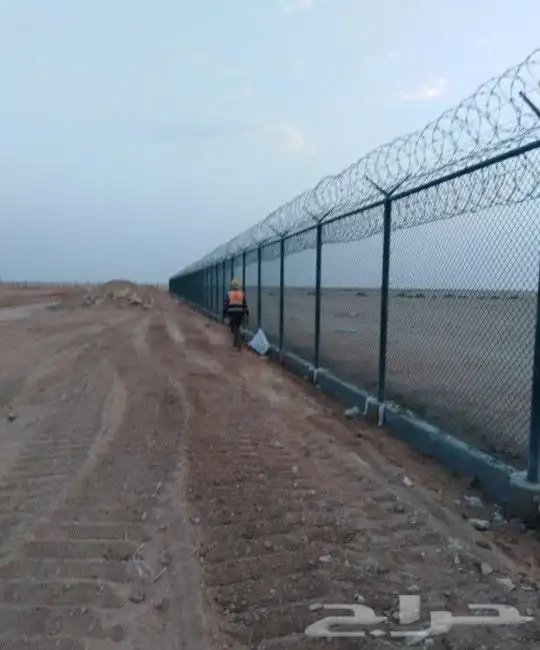 تركيب شبوك وزراعه النخيل 1